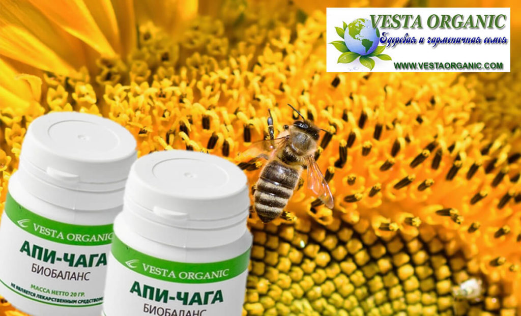 ЧАГА 20 г - VESTAORGANIC